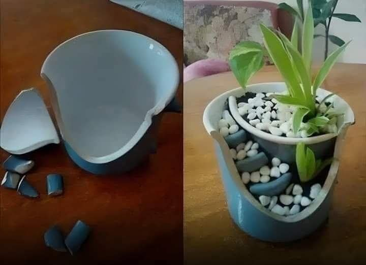 Broken Vase